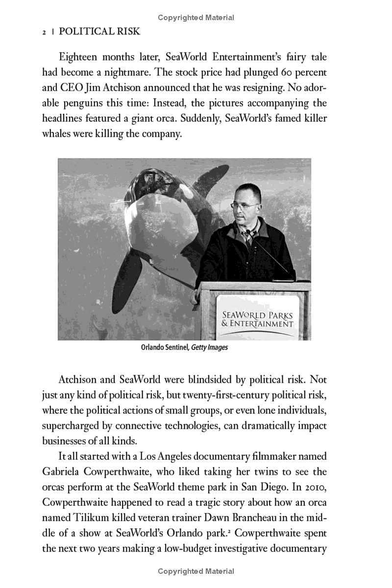 political risk: how businesses and organizations can anticipate global insecurity - Ảnh 5