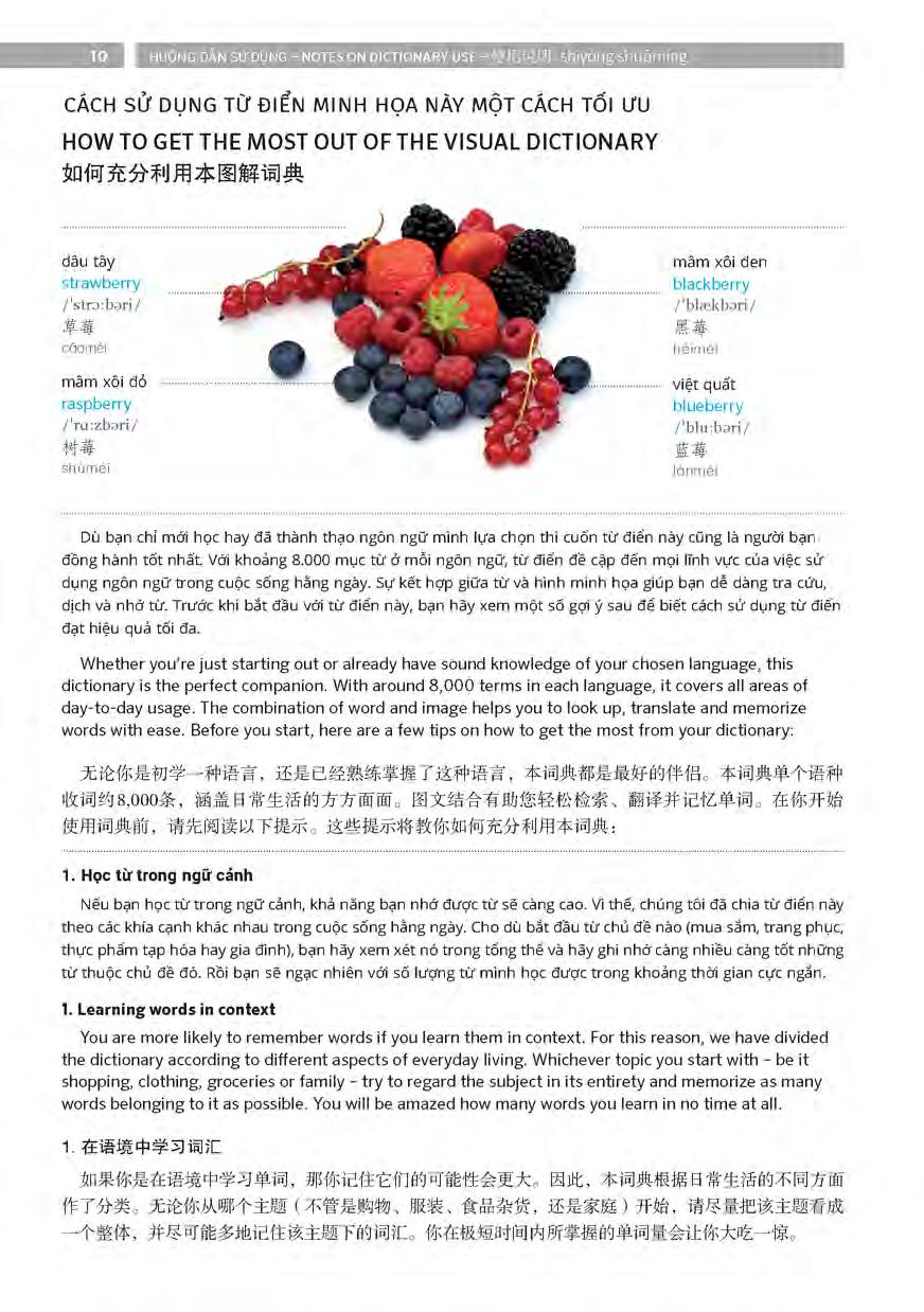 pons general reference - trilingual visual dictionary vietnamese - english - chinese - Ảnh 11