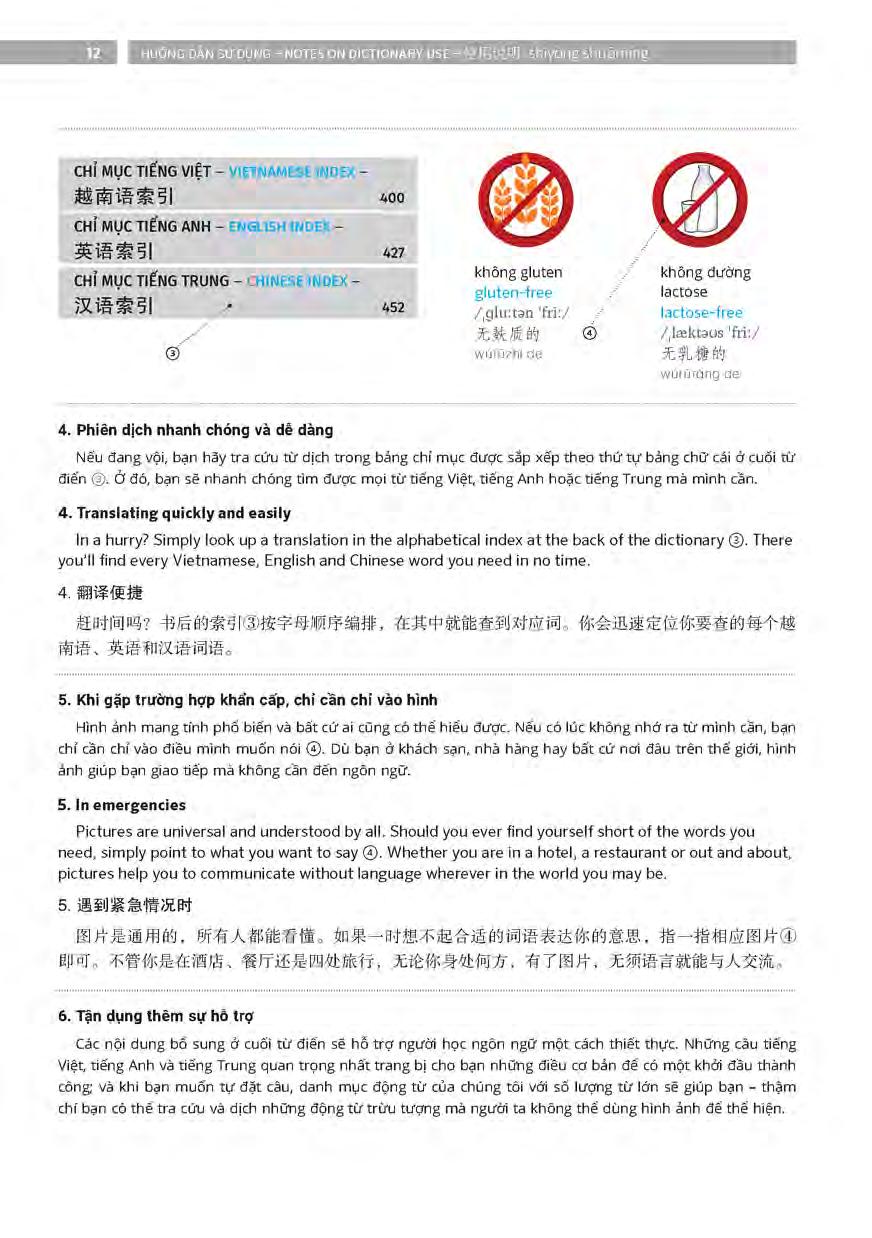 pons general reference - trilingual visual dictionary vietnamese - english - chinese - Ảnh 13