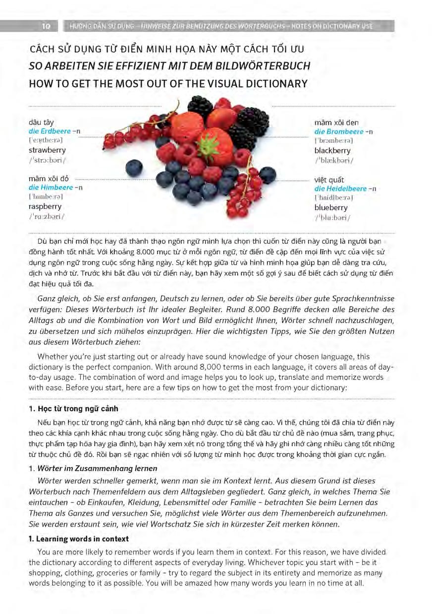 pons general reference - trilingual visual dictionary vietnamese - german - english - Ảnh 11