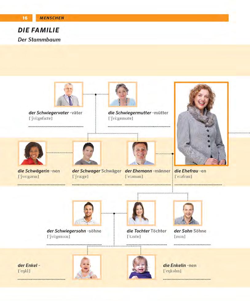 pons tự học tiếng đức qua hình - Ảnh 17