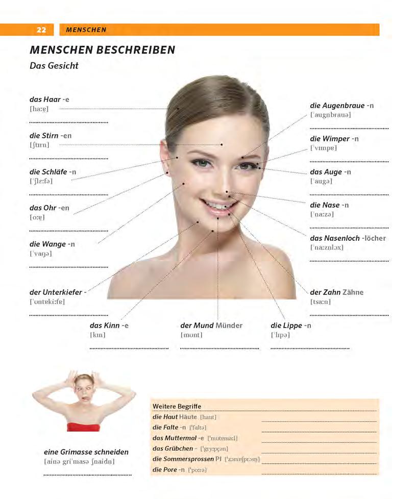 pons tự học tiếng đức qua hình - Ảnh 23