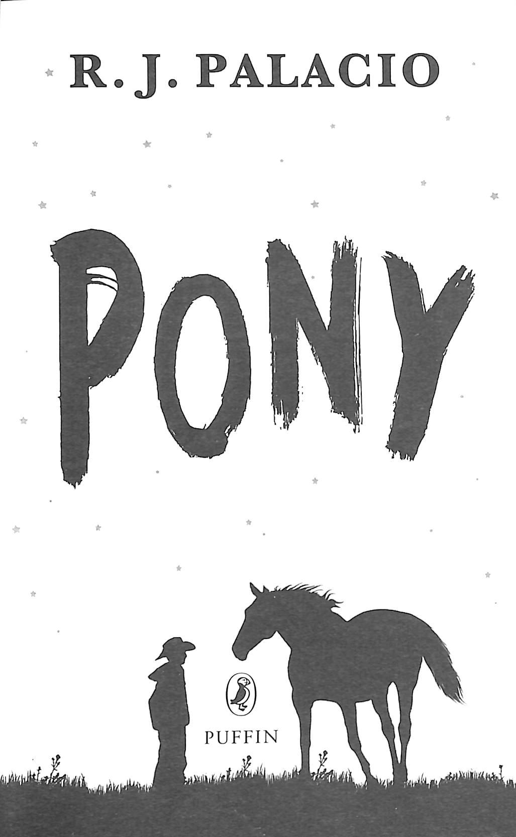 pony - Ảnh 3