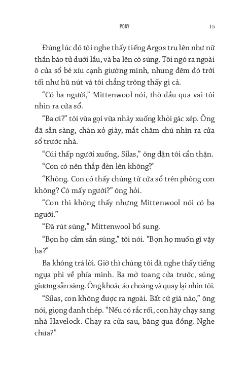 pony - chú ngựa dũng mãnh - Ảnh 11