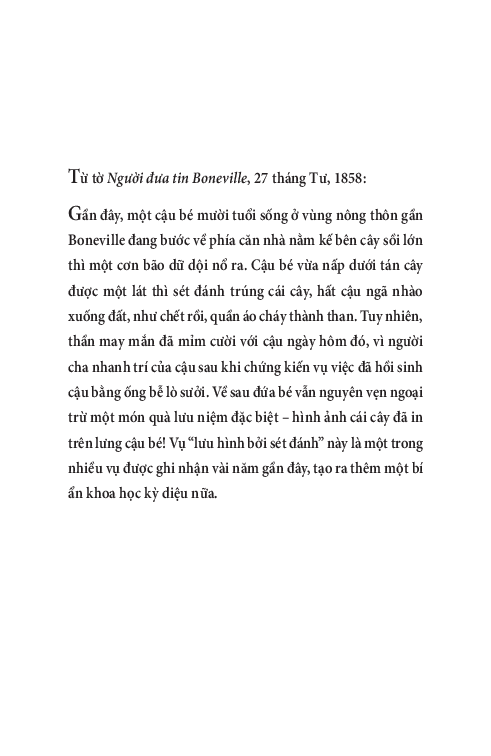 pony - chú ngựa dũng mãnh - Ảnh 6