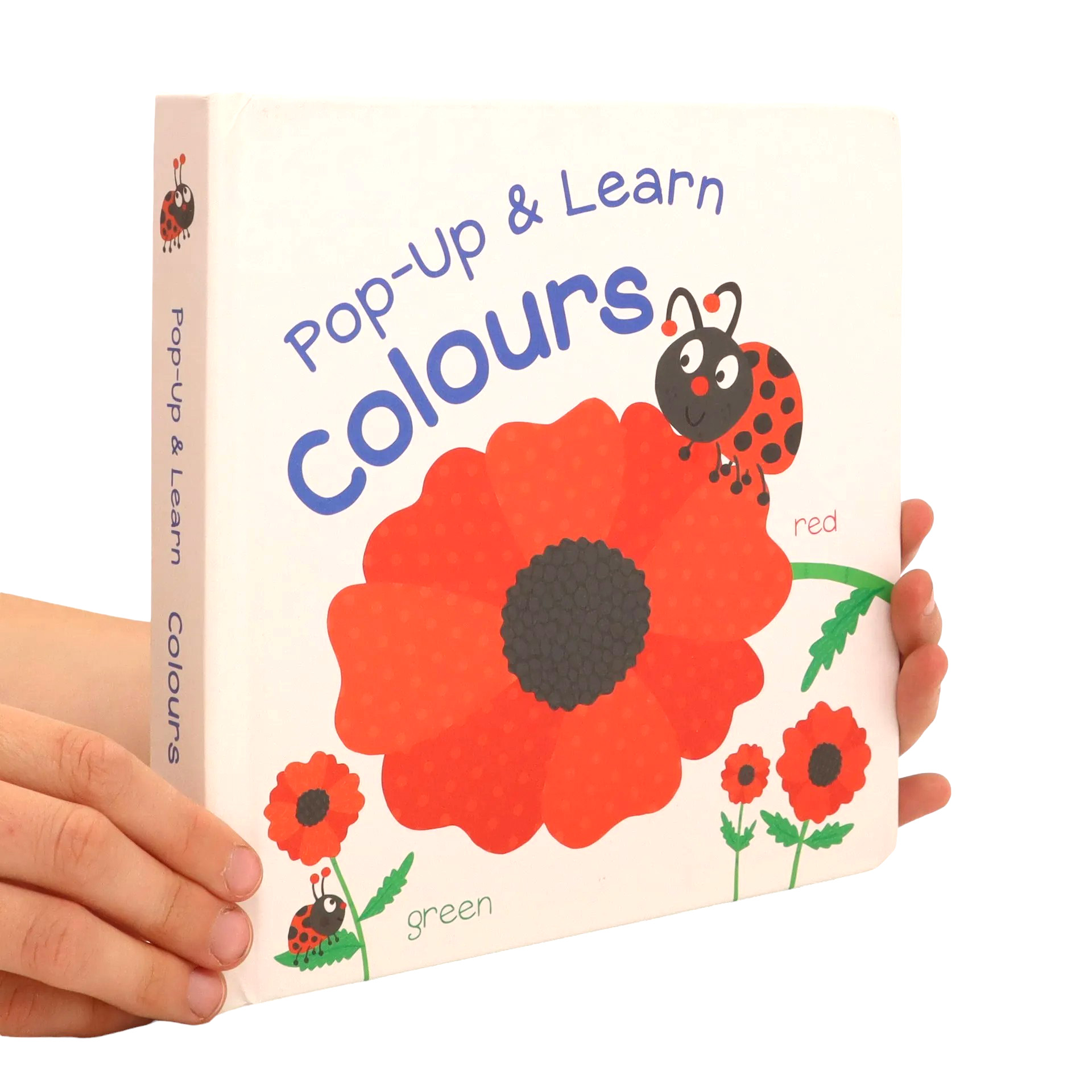 pop-up & learn - colours - Ảnh 2