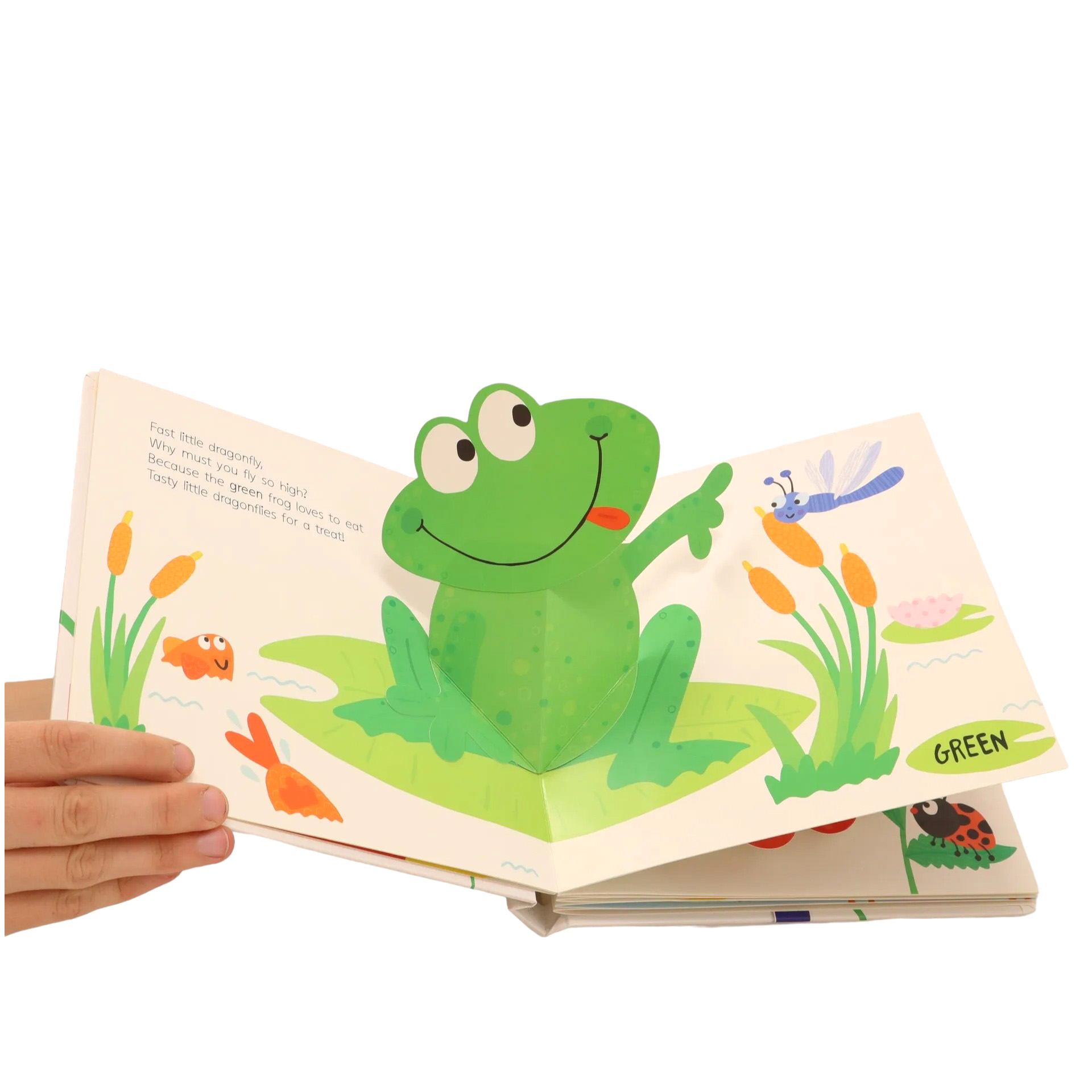 pop-up & learn - colours - Ảnh 3