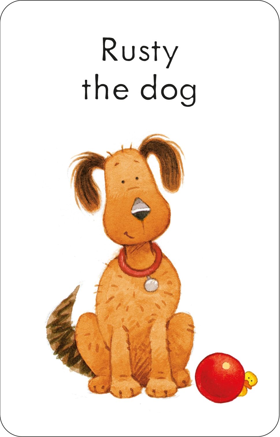 poppy and sam's snap cards - Ảnh 4