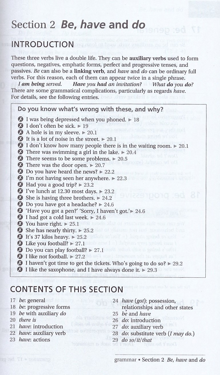 practical english usage, 4th edition: michael swan's guide to problems in english (with online access) - Ảnh 4