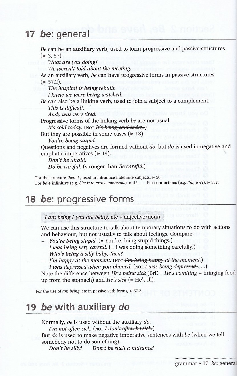 practical english usage, 4th edition: michael swan's guide to problems in english (with online access) - Ảnh 5