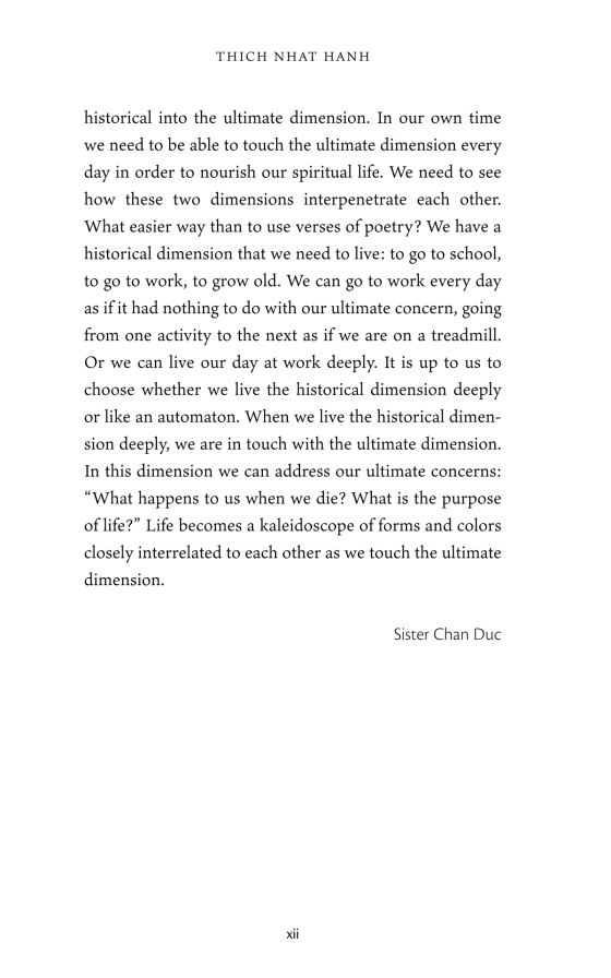 present moment wonderful moment - Ảnh 12