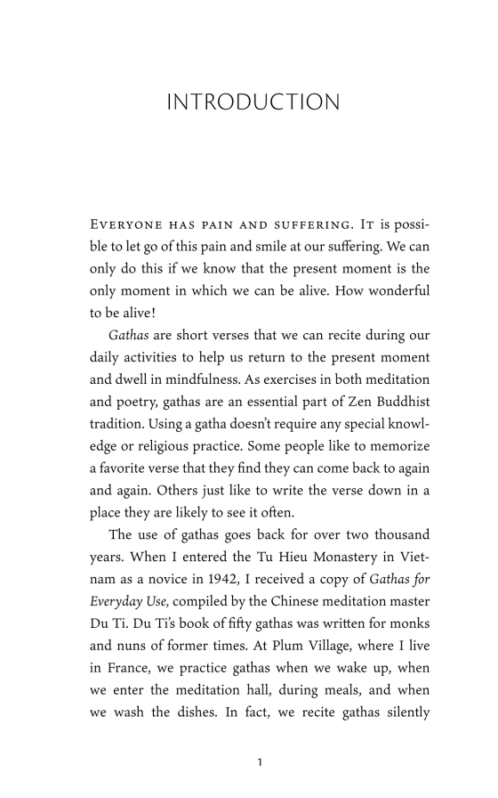 present moment wonderful moment - Ảnh 13