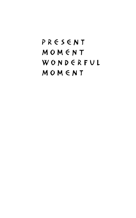 present moment wonderful moment - Ảnh 3