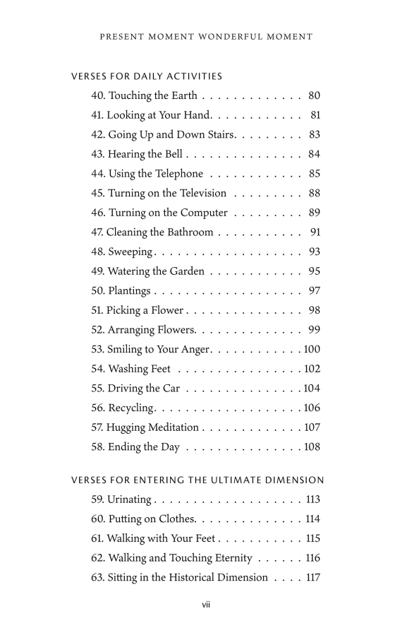 present moment wonderful moment - Ảnh 7