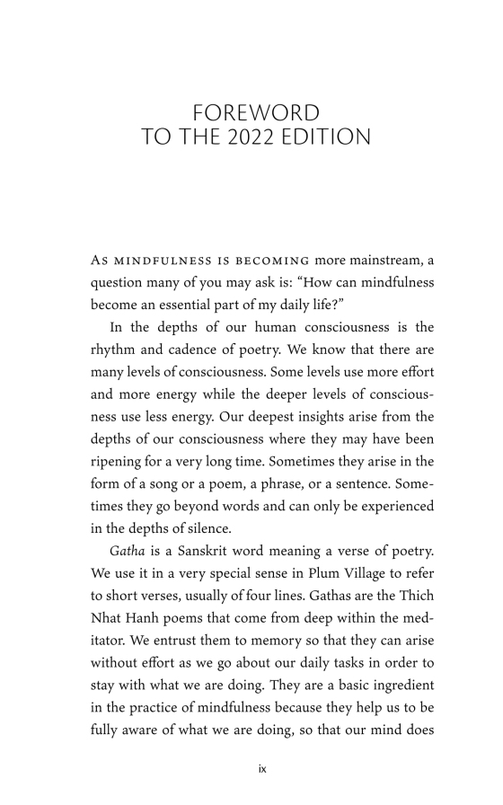 present moment wonderful moment - Ảnh 9