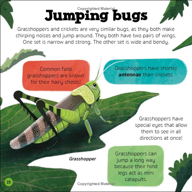 priddy explorers bugs & slugs - Ảnh 4