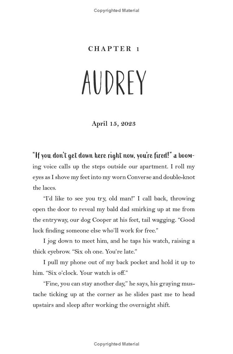 pride and prejudice and pittsburgh - Ảnh 3