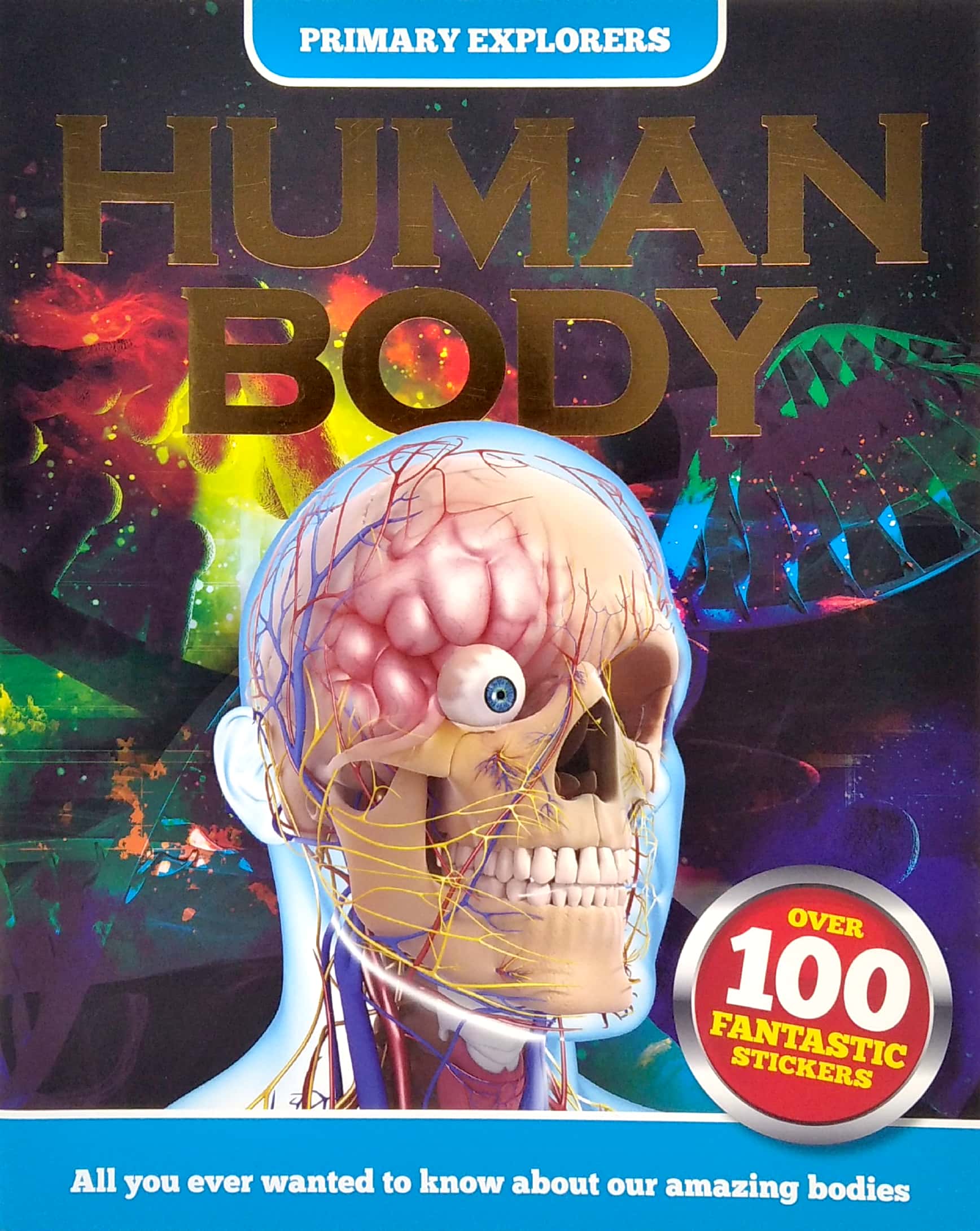 primary explorers: human body - Ảnh 2