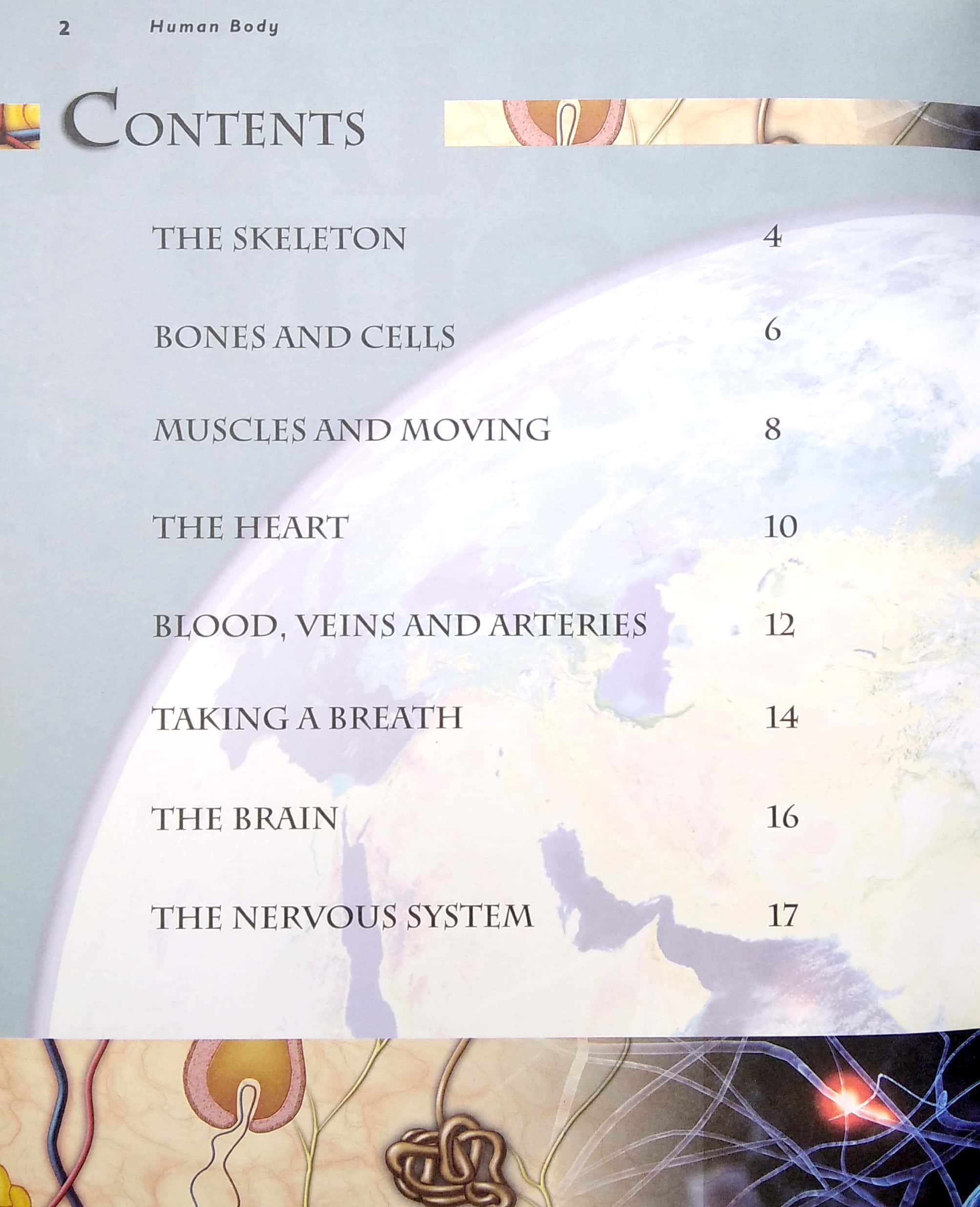 primary explorers: human body - Ảnh 3