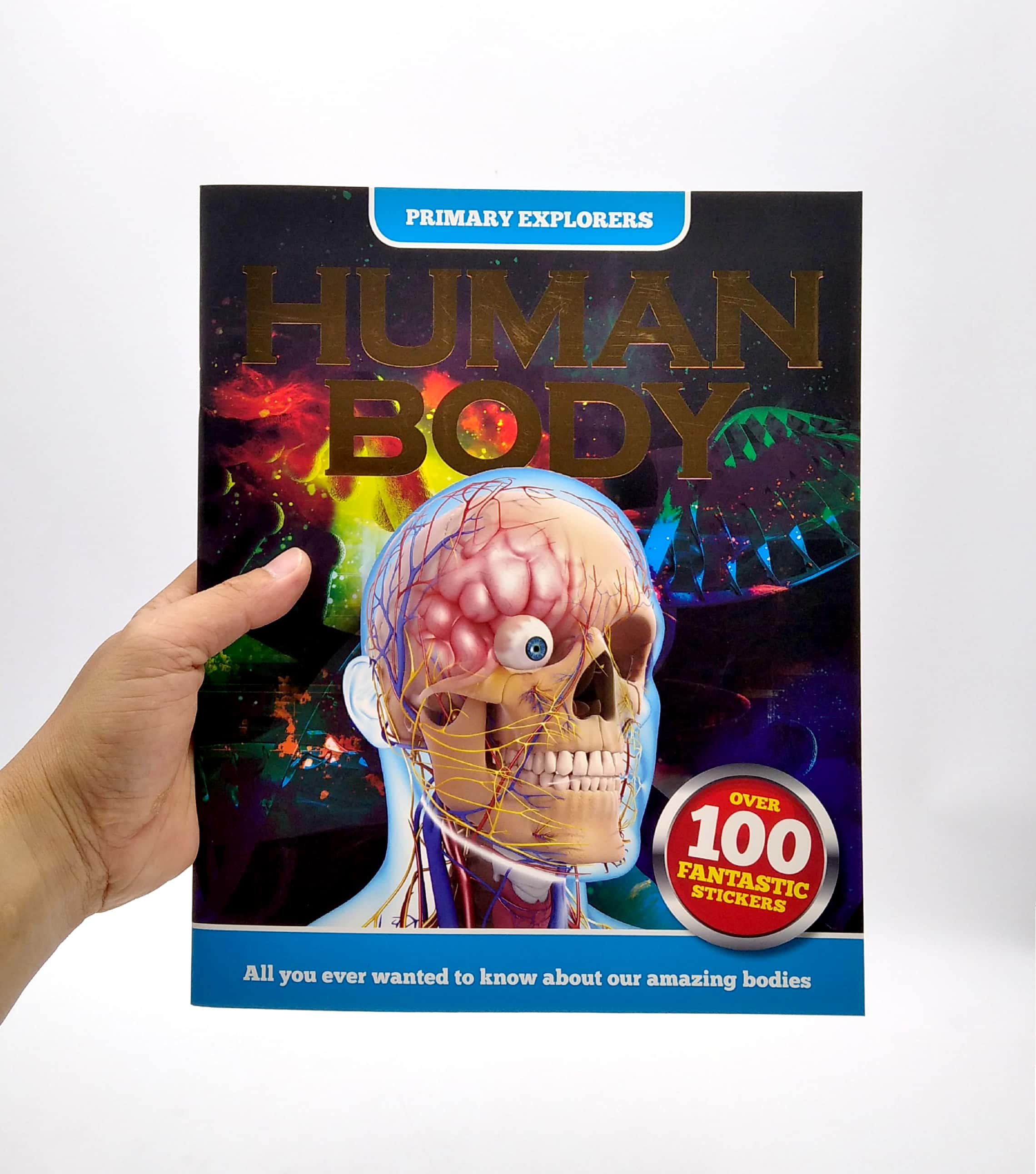 primary explorers: human body - Ảnh 7