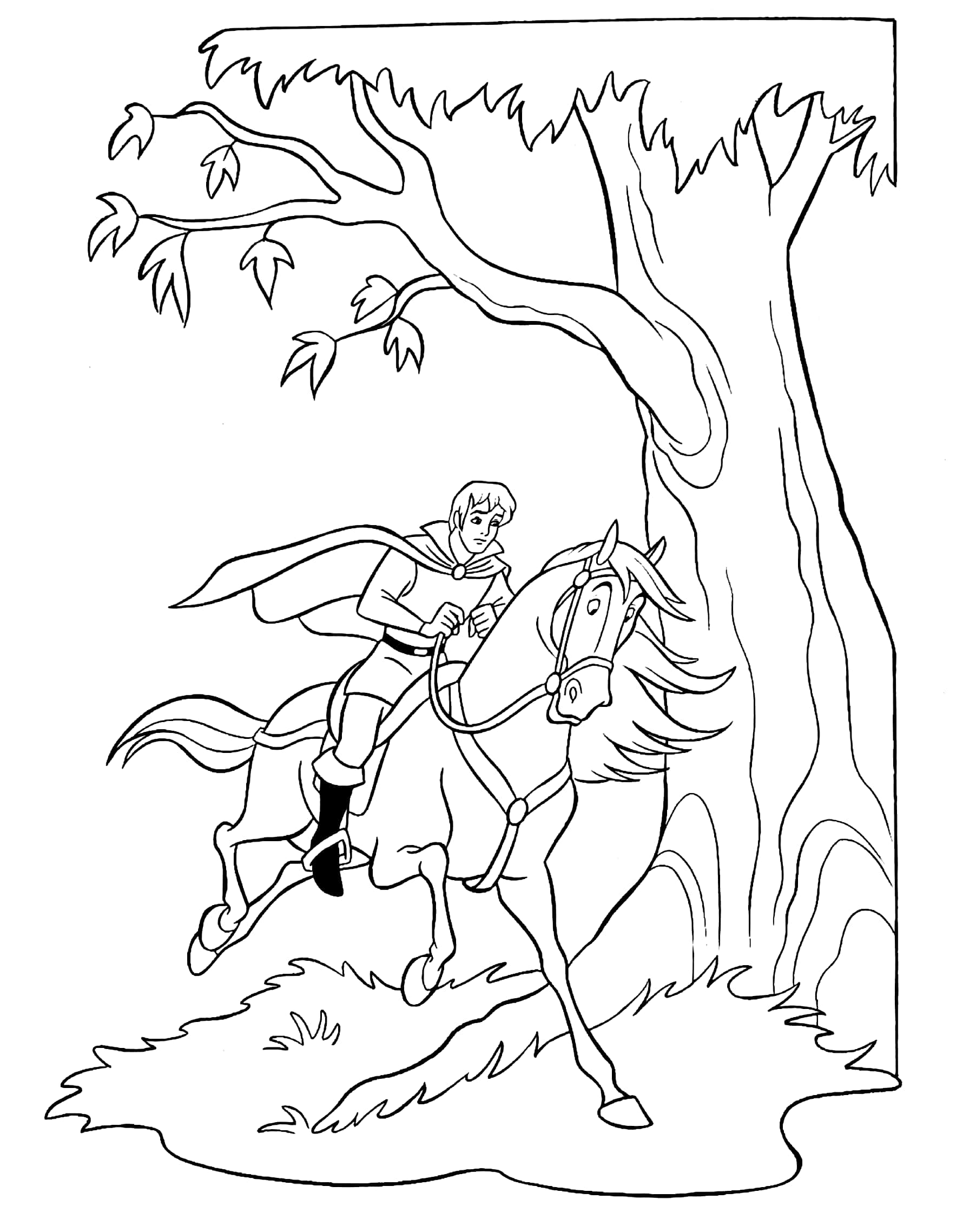 princess copy colour: princess and the pea - Ảnh 3