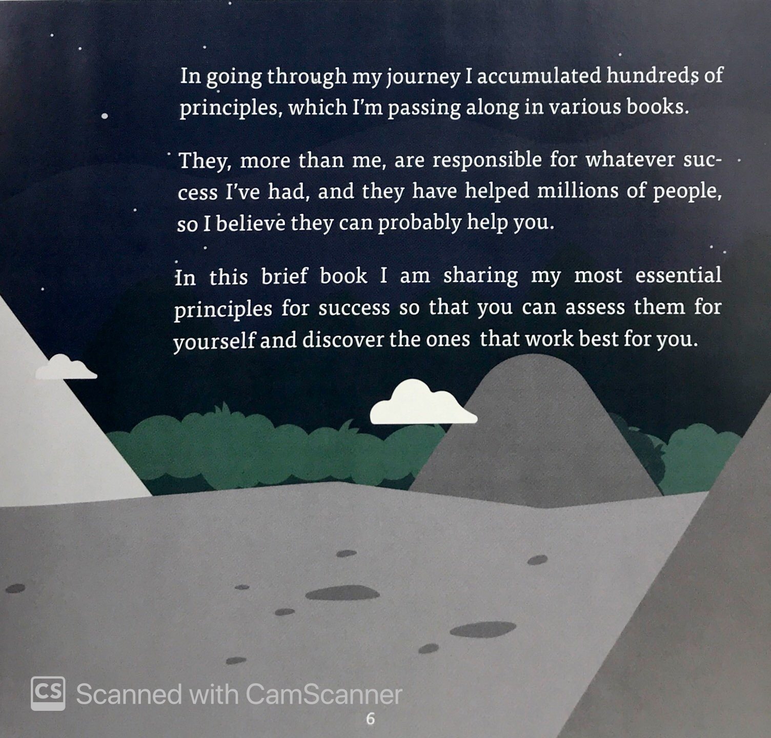 principles for success - Ảnh 8