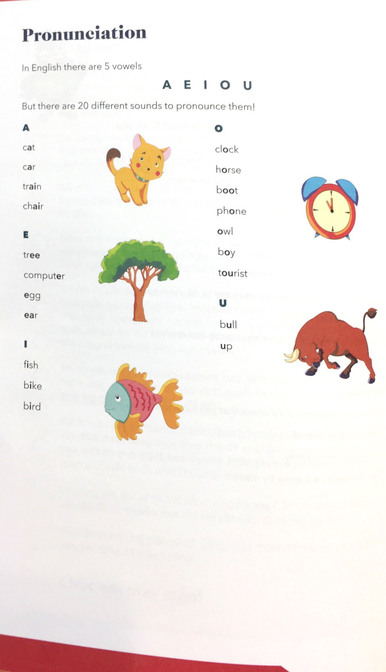 pte young learners firstwords & springboard vietnam - Ảnh 5
