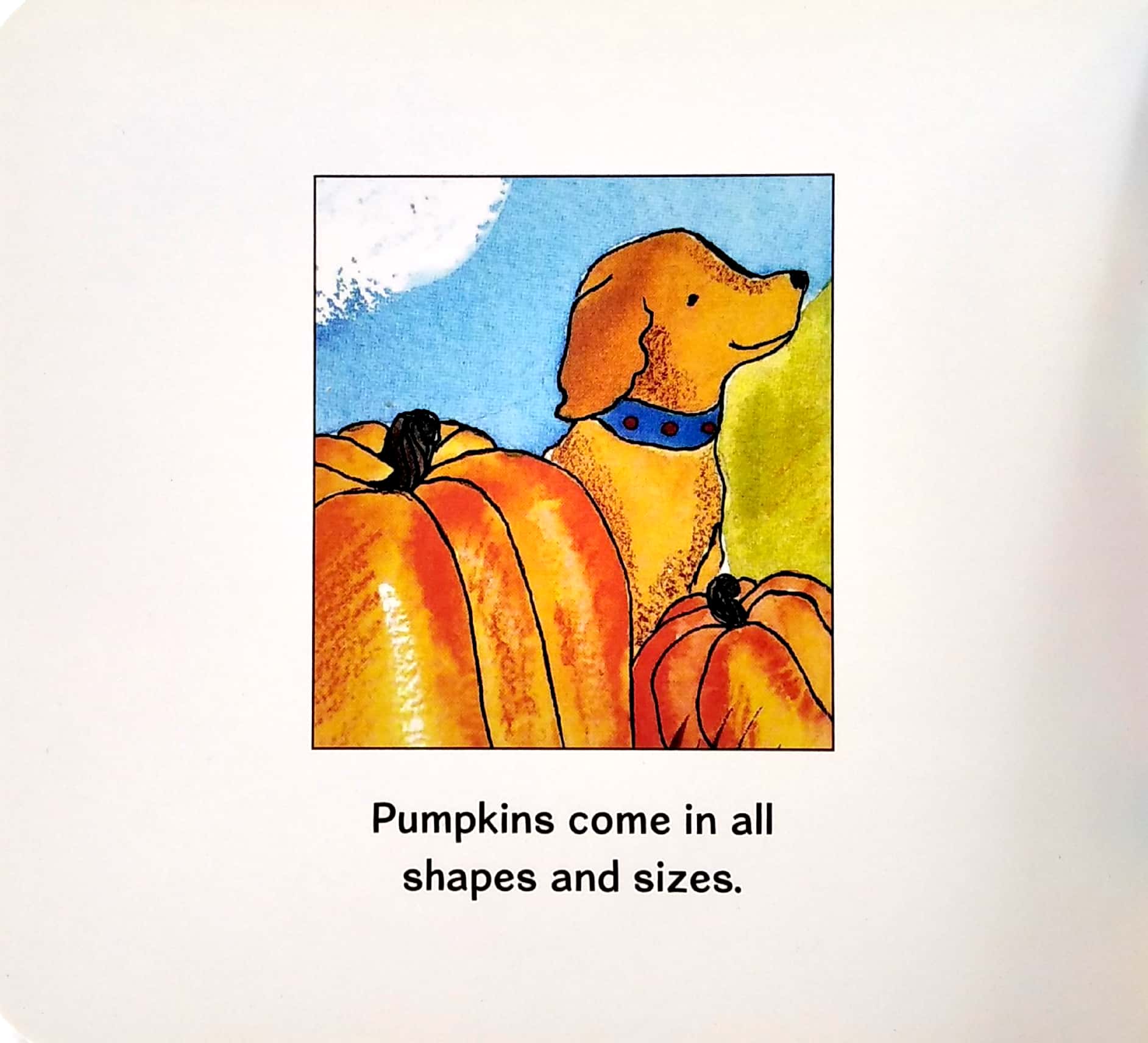pumpkins - Ảnh 3