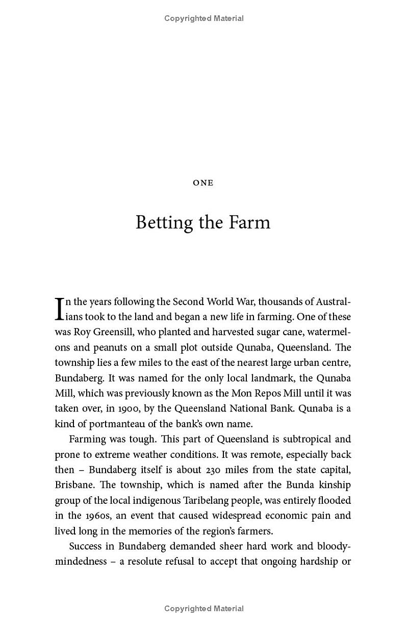 pyramid of lies - Ảnh 5