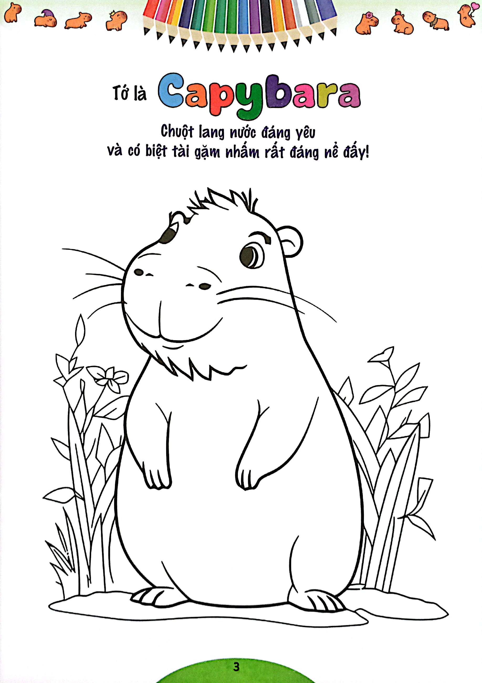 quà cho bé - bé tập tô màu capybara - Ảnh 3