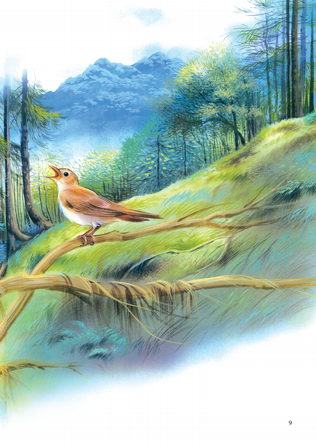 quạ học đòi chim ưng - Ảnh 20