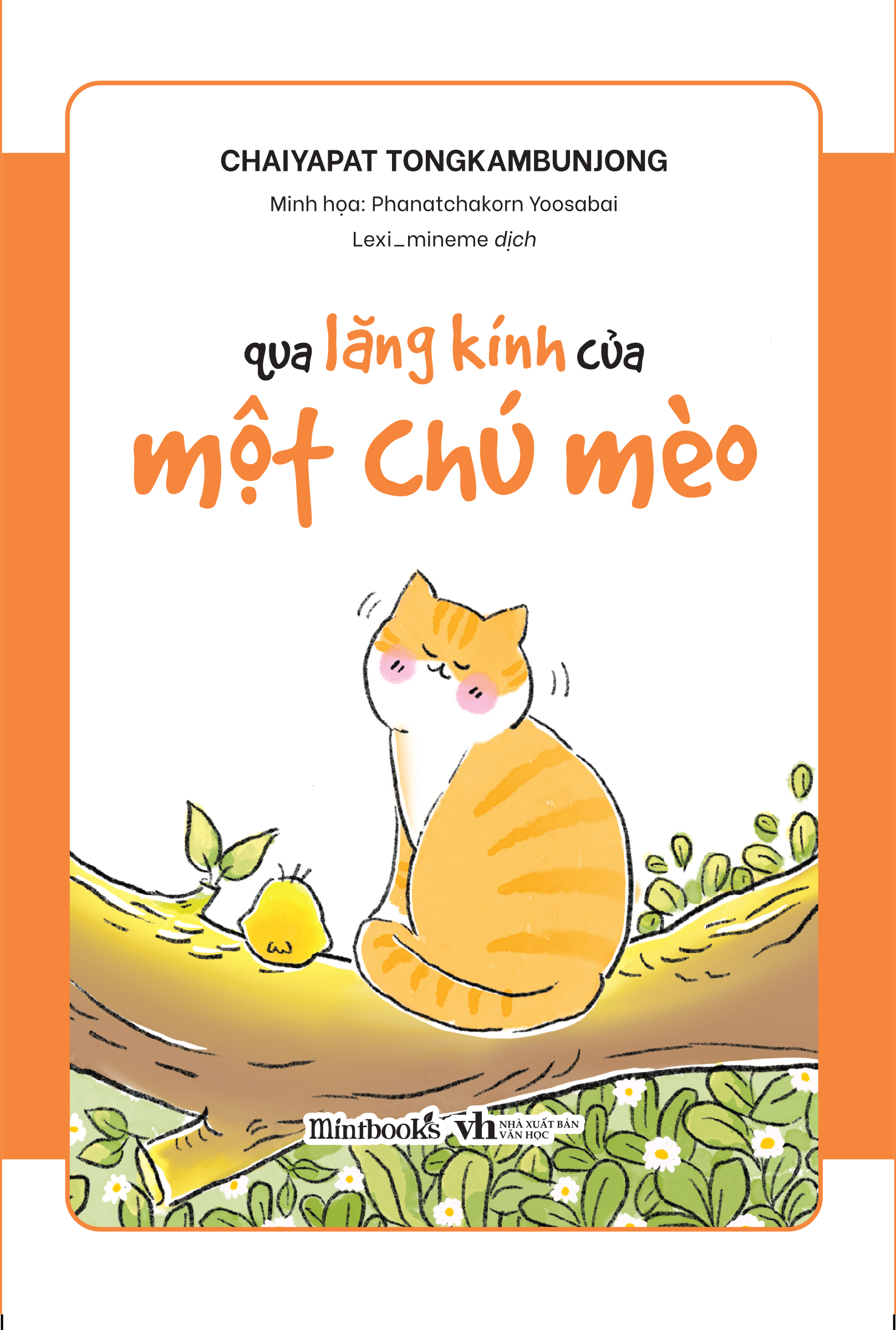 qua lăng kính của một chú mèo - Ảnh 2