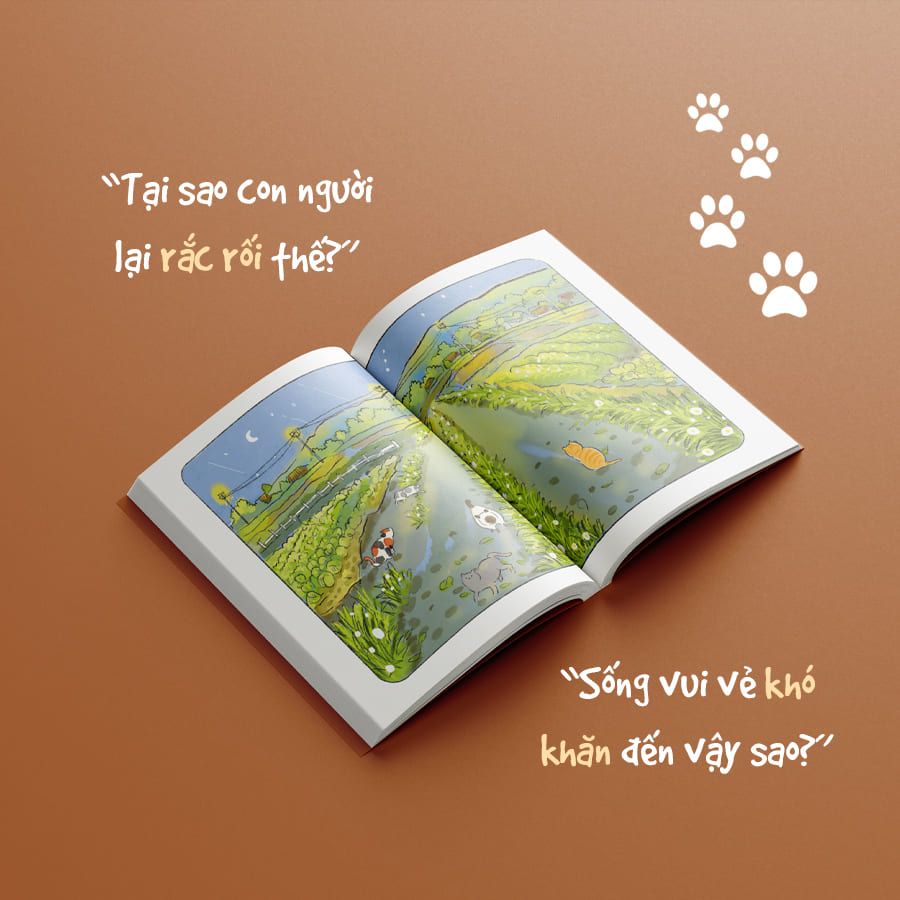 qua lăng kính của một chú mèo - Ảnh 6