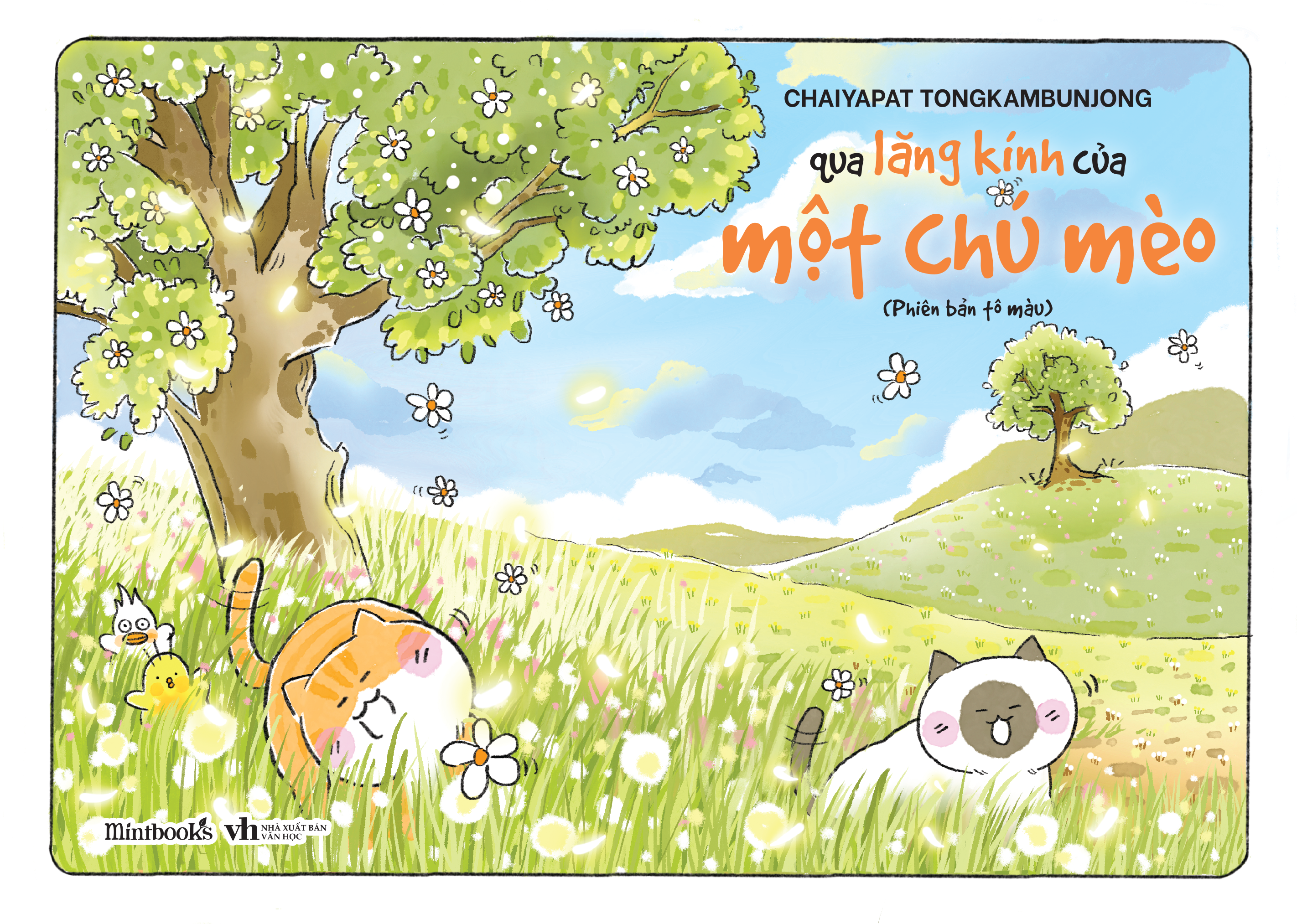 qua lăng kính của một chú mèo - phiên bản tô màu - Ảnh 2