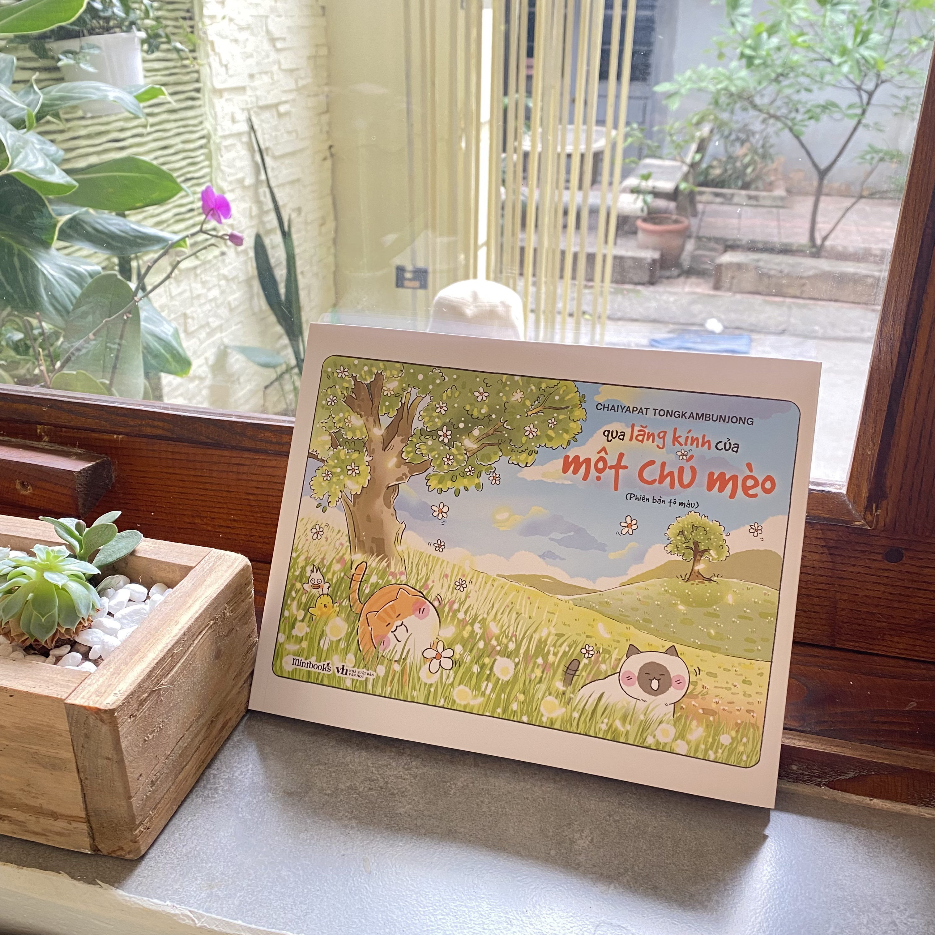 qua lăng kính của một chú mèo - phiên bản tô màu - Ảnh 3