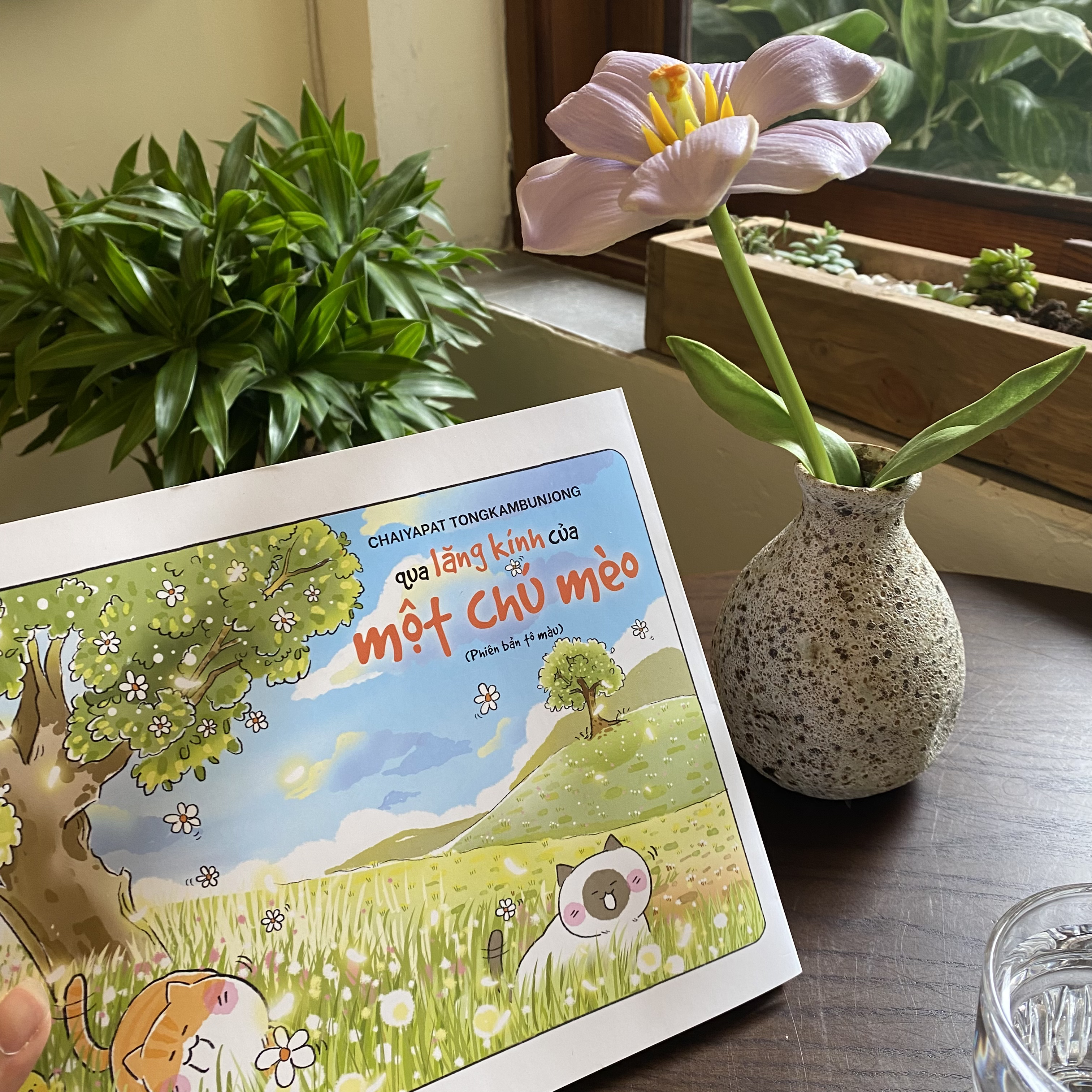 qua lăng kính của một chú mèo - phiên bản tô màu - Ảnh 4