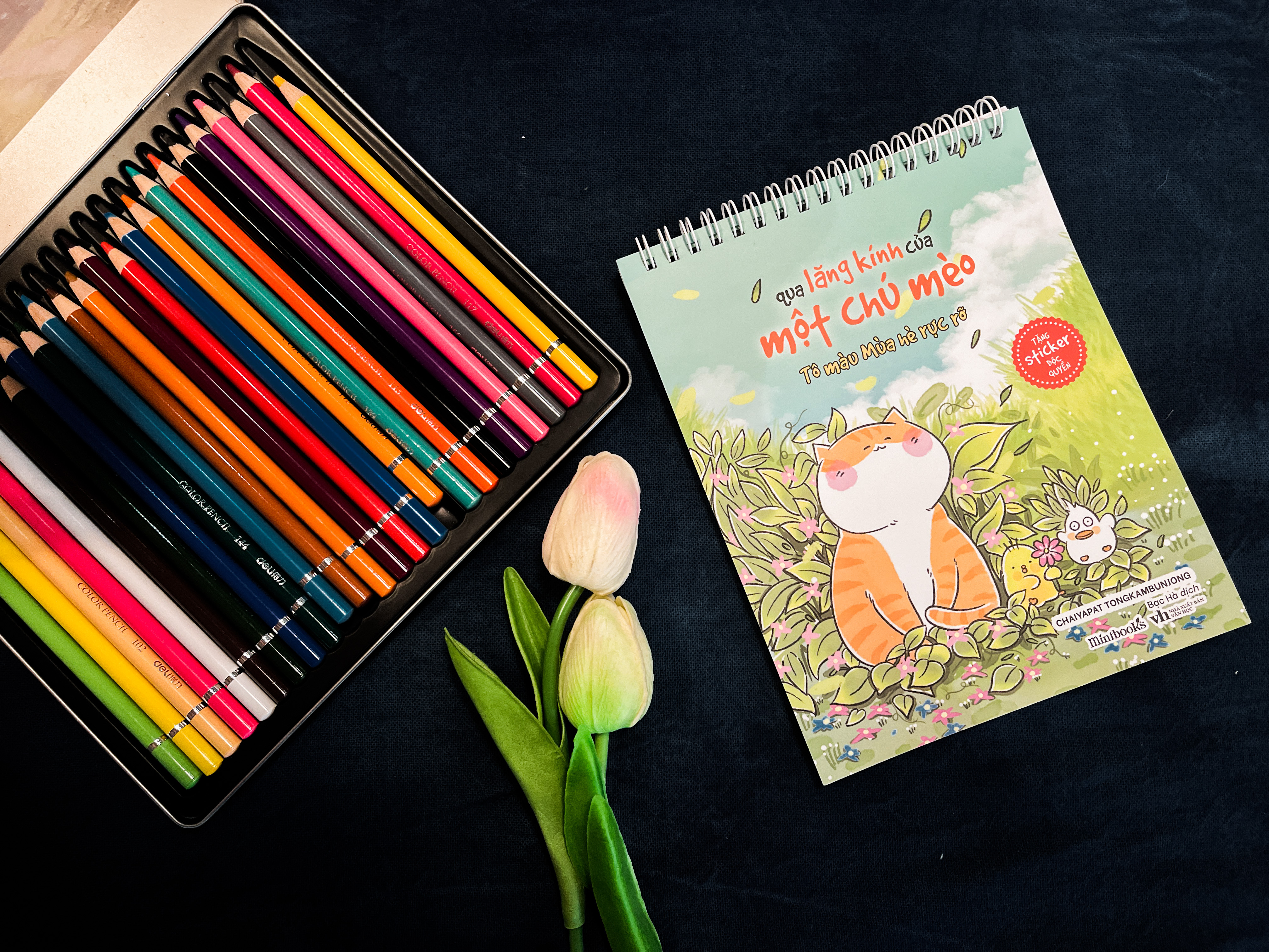 Qua Lăng Kính Của Một Chú Mèo - Tô Màu Mùa Hè Rực Rỡ - Tặng Kèm Set Sticker - Ảnh 7