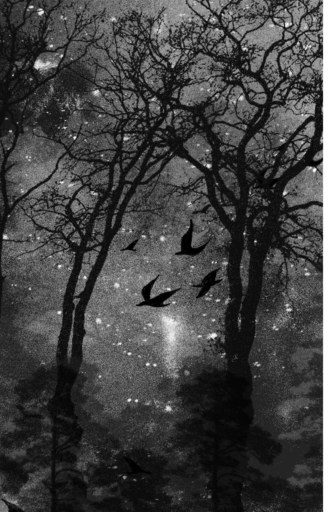 quà tết của rừng xanh - Ảnh 5