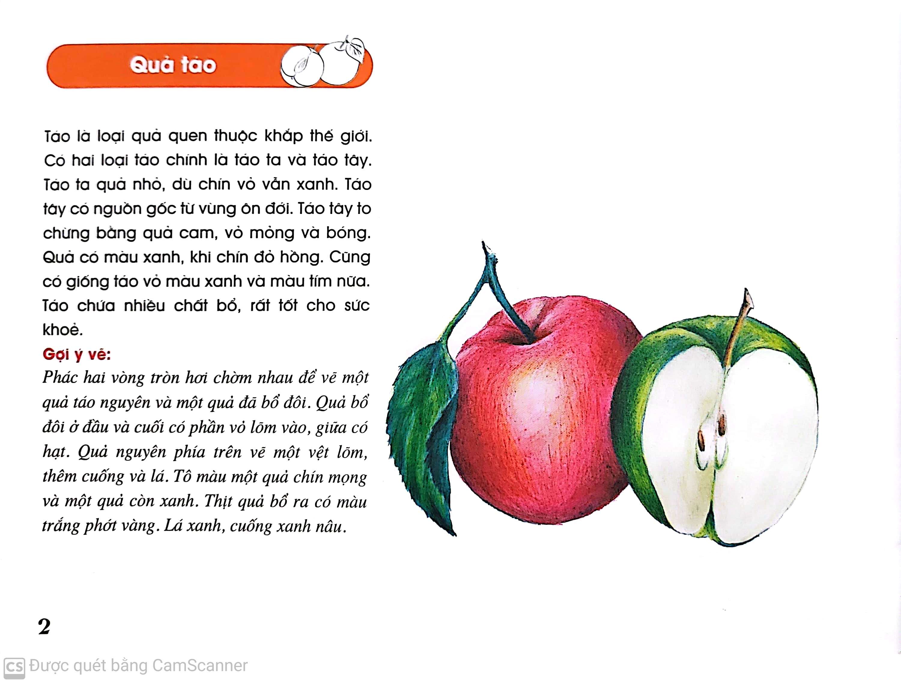 quả thơm, quả ngọt (tái bản 2014) - Ảnh 3