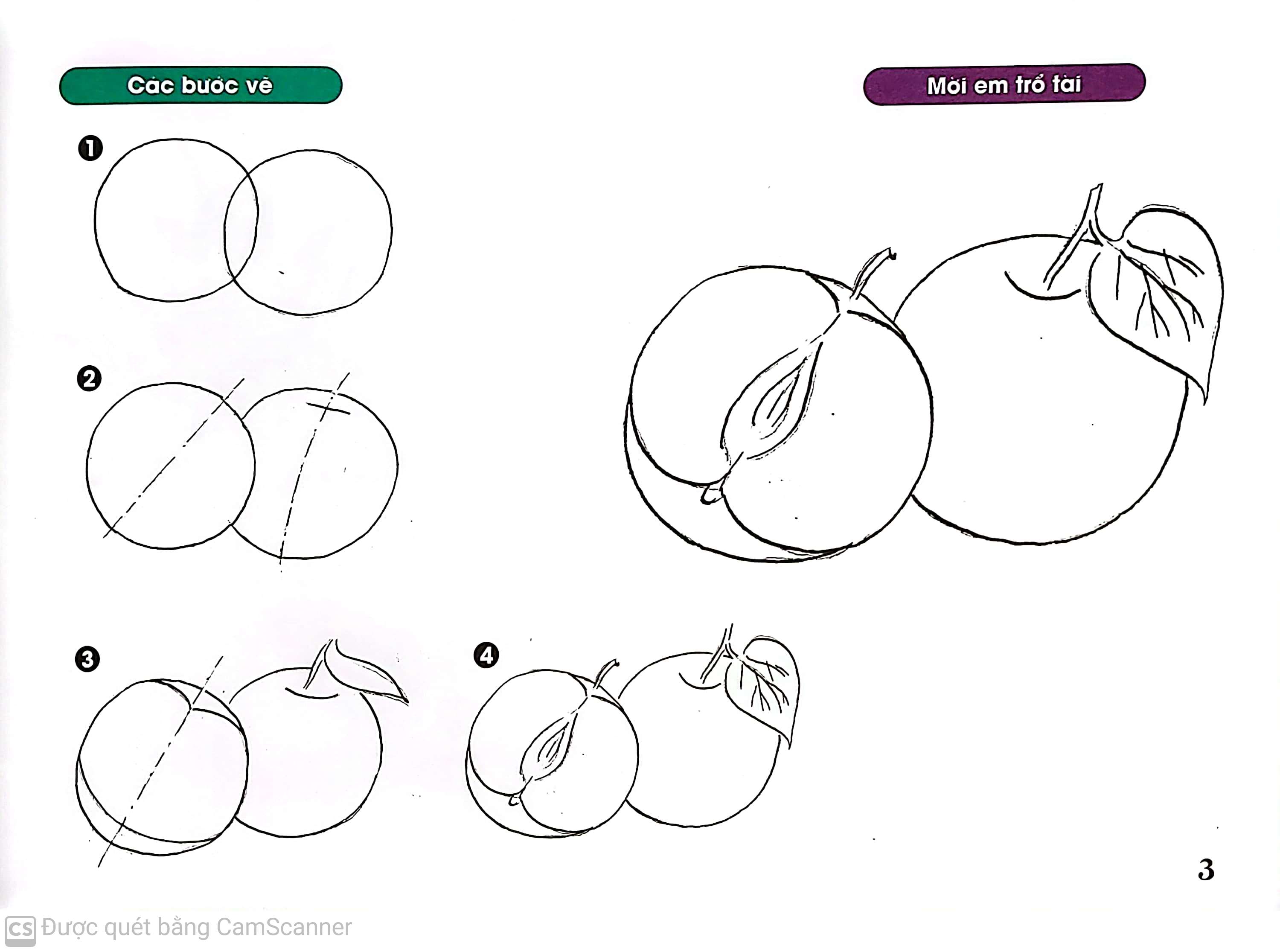 quả thơm, quả ngọt (tái bản 2014) - Ảnh 4