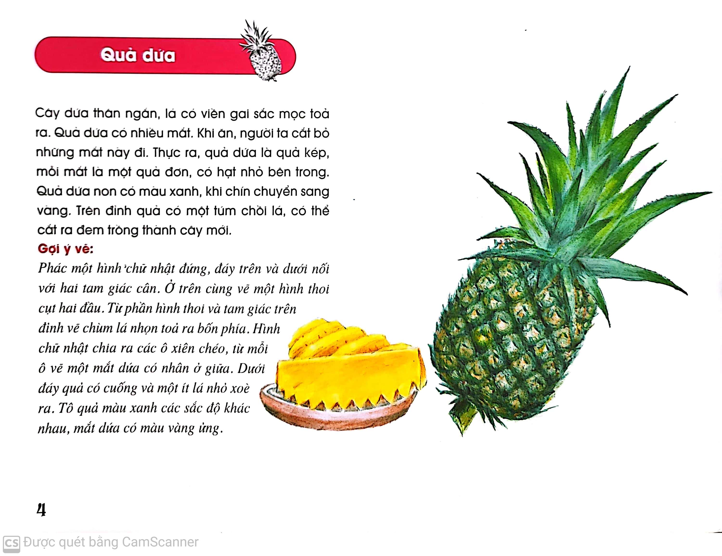 quả thơm, quả ngọt (tái bản 2014) - Ảnh 5