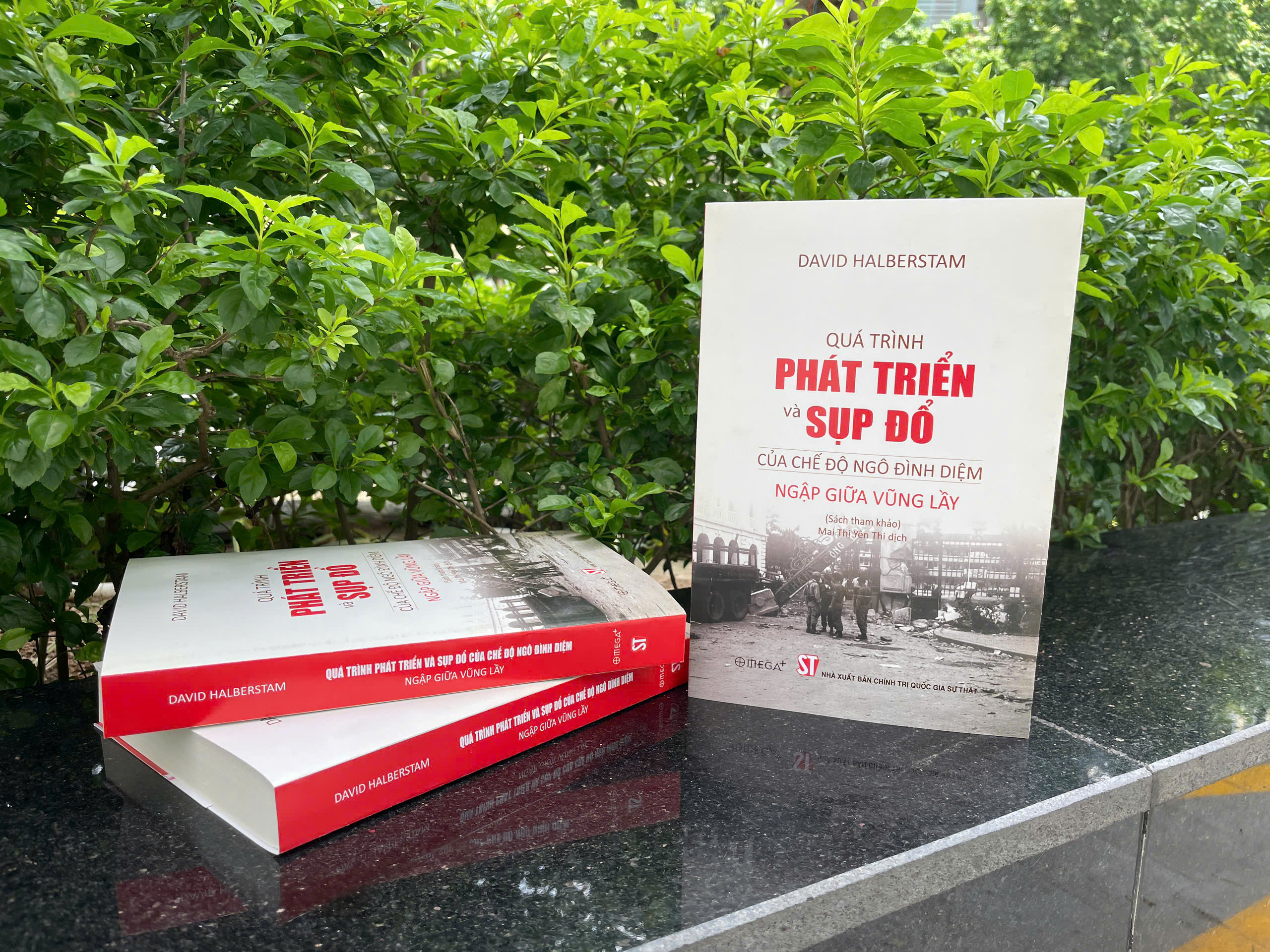 Quá Trình Phát Triển Và Sụp Đổ Của Chế Độ Ngô Đình Diệm - Ngập Giữa Vũng Lầy - Ảnh 3