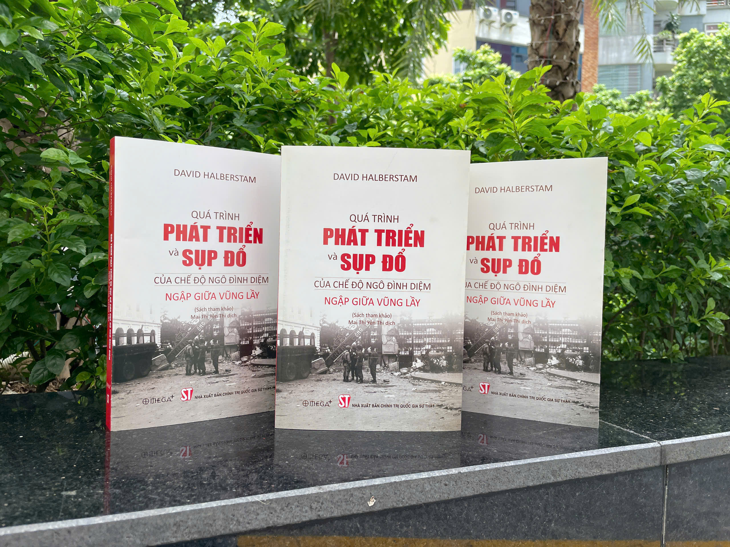 Quá Trình Phát Triển Và Sụp Đổ Của Chế Độ Ngô Đình Diệm - Ngập Giữa Vũng Lầy - Ảnh 4