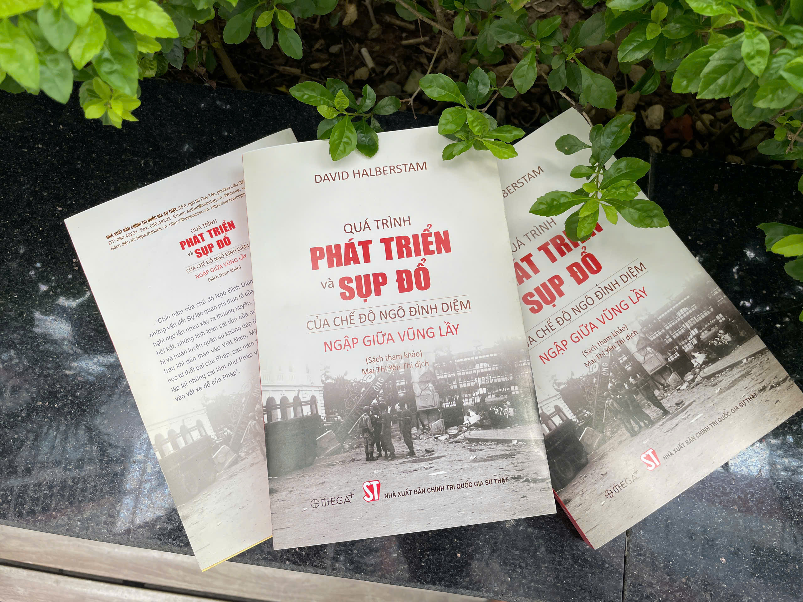 Quá Trình Phát Triển Và Sụp Đổ Của Chế Độ Ngô Đình Diệm - Ngập Giữa Vũng Lầy - Ảnh 5