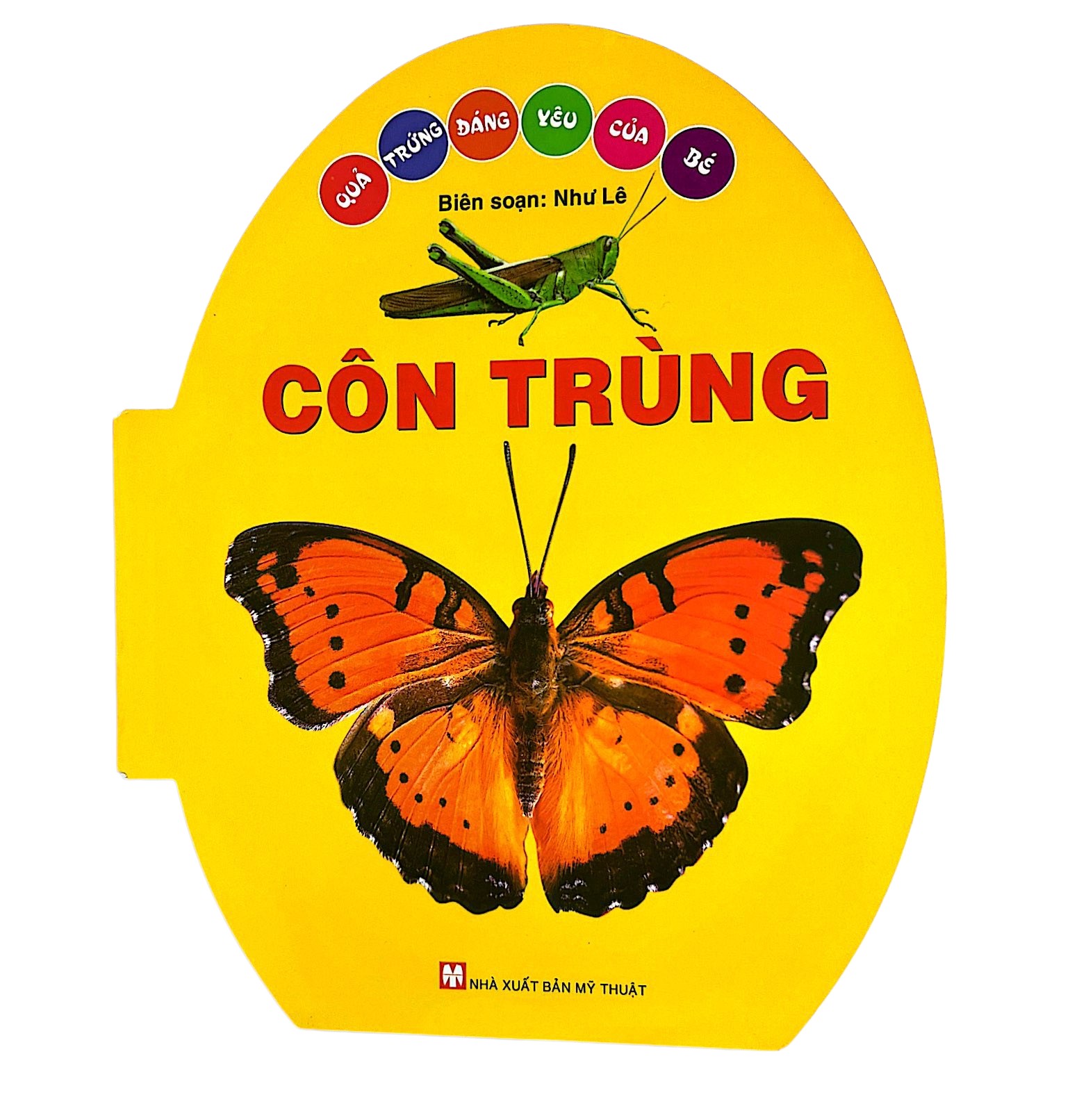 quả trứng đáng yêu của bé - côn trùng - Ảnh 2