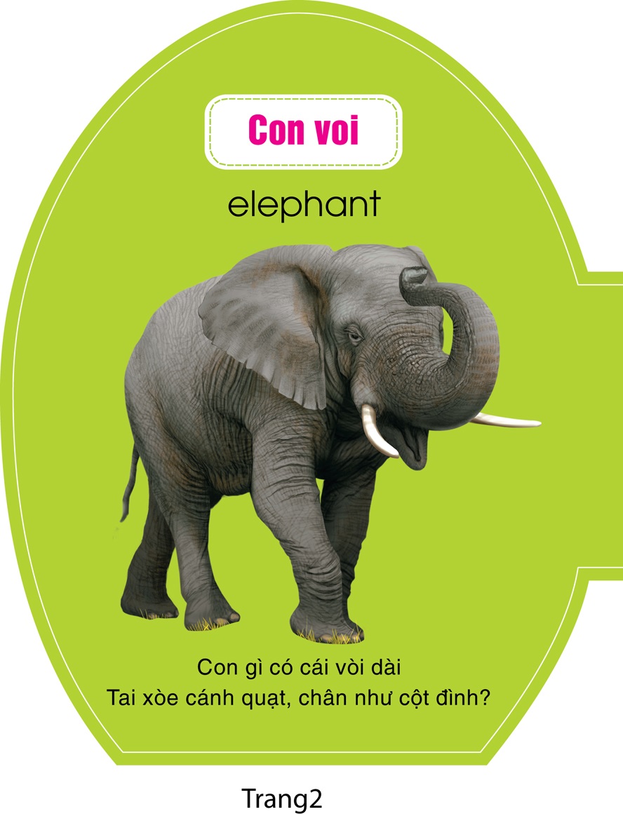 quả trứng đáng yêu của bé - động vật hoang dã - Ảnh 3