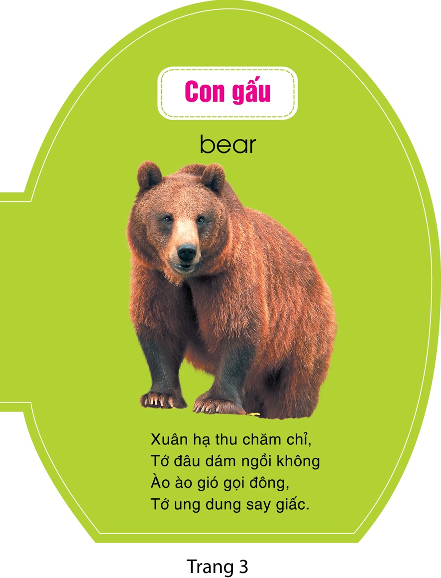 quả trứng đáng yêu của bé - động vật hoang dã - Ảnh 4