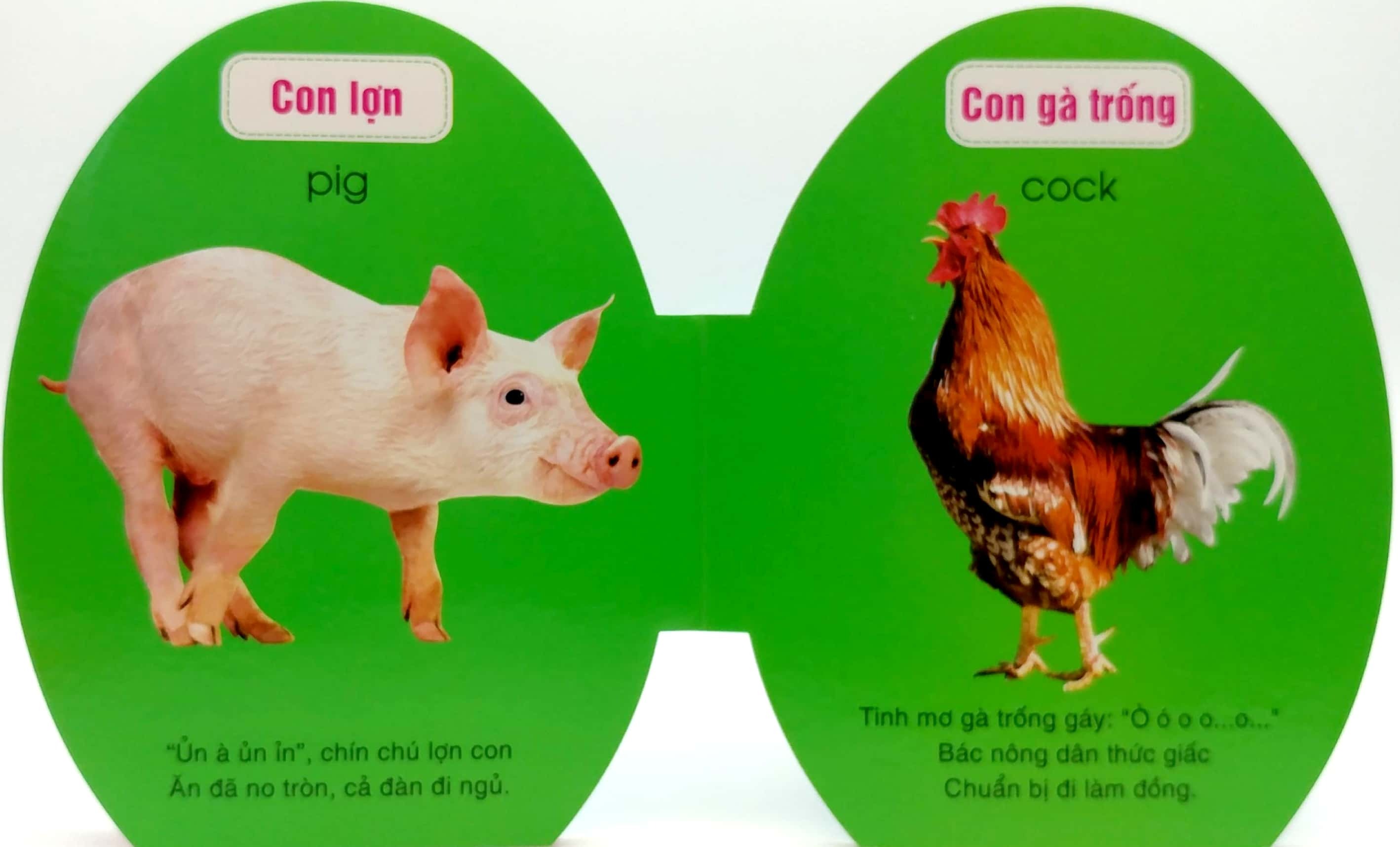 quả trứng đáng yêu của bé - động vật nuôi (tái bản 2024) - Ảnh 4