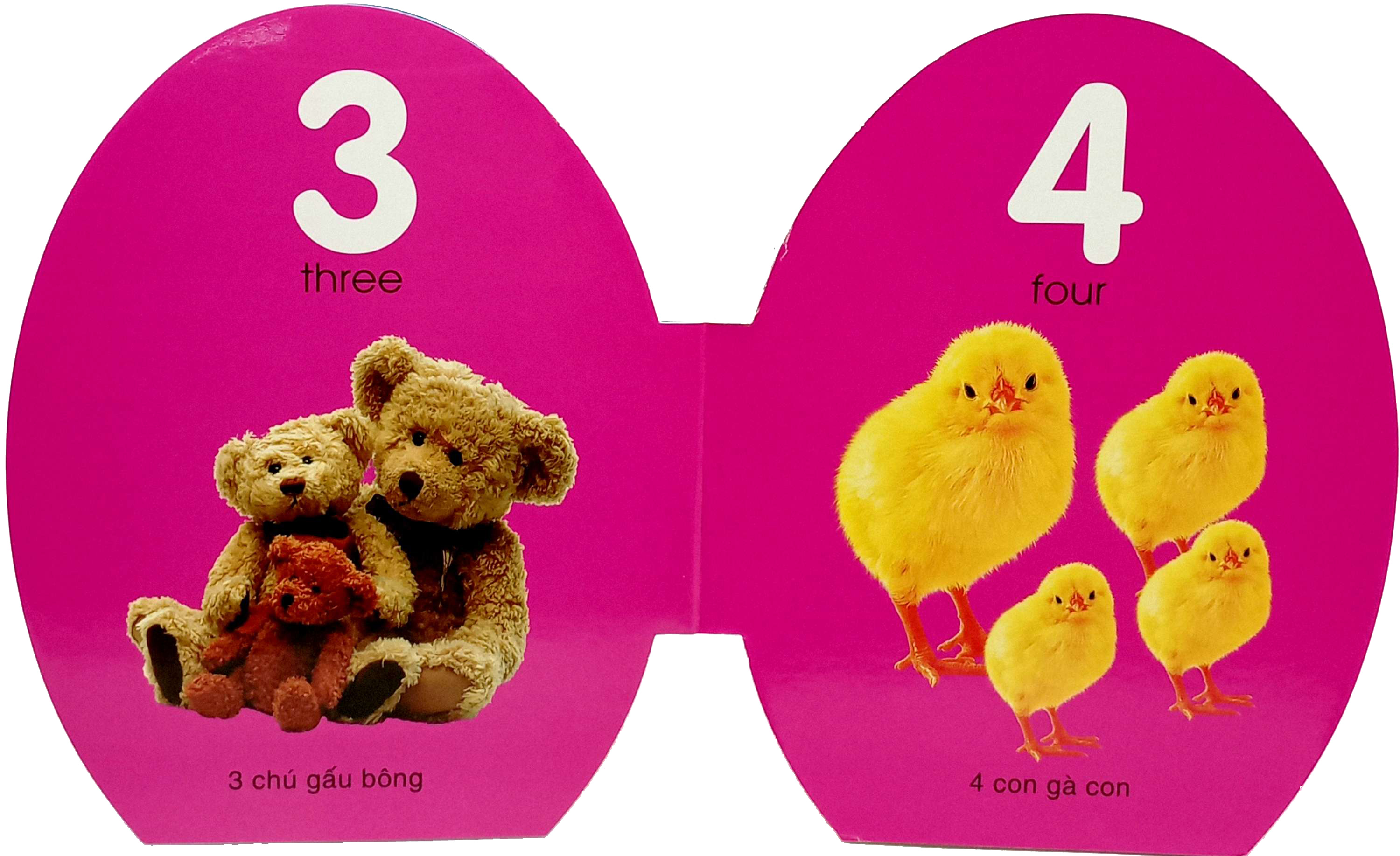 quả trứng đáng yêu của bé - số đếm - Ảnh 4