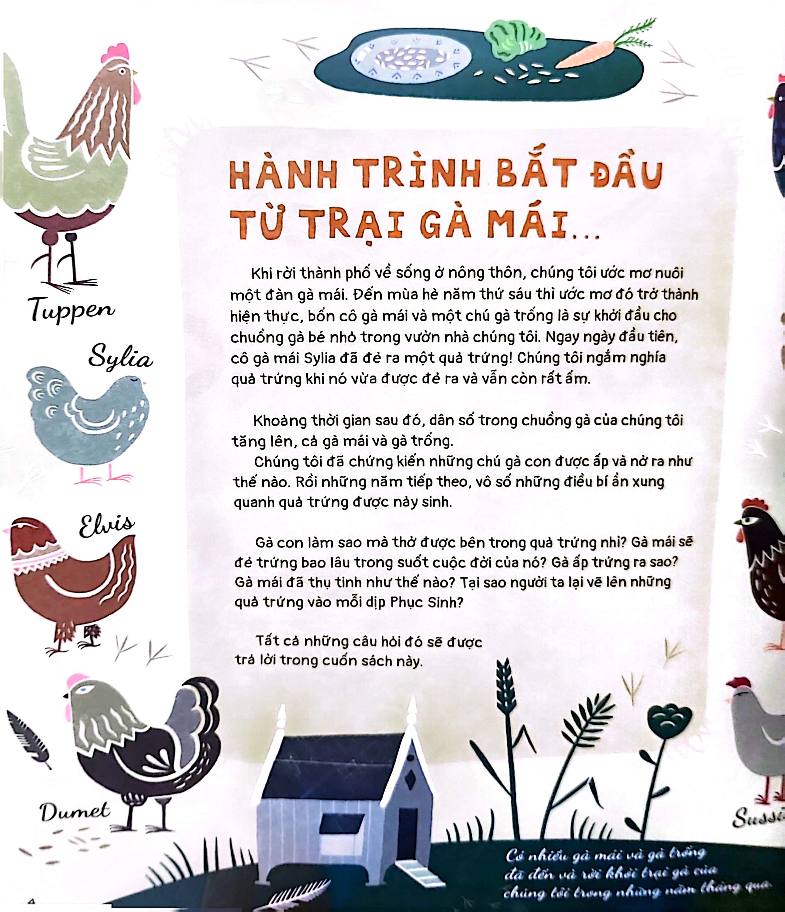 quả trứng và hơn thế nữa - dưới góc nhìn sinh học và văn hóa, kèm theo các trò chơi và thực hành thú vị - Ảnh 3